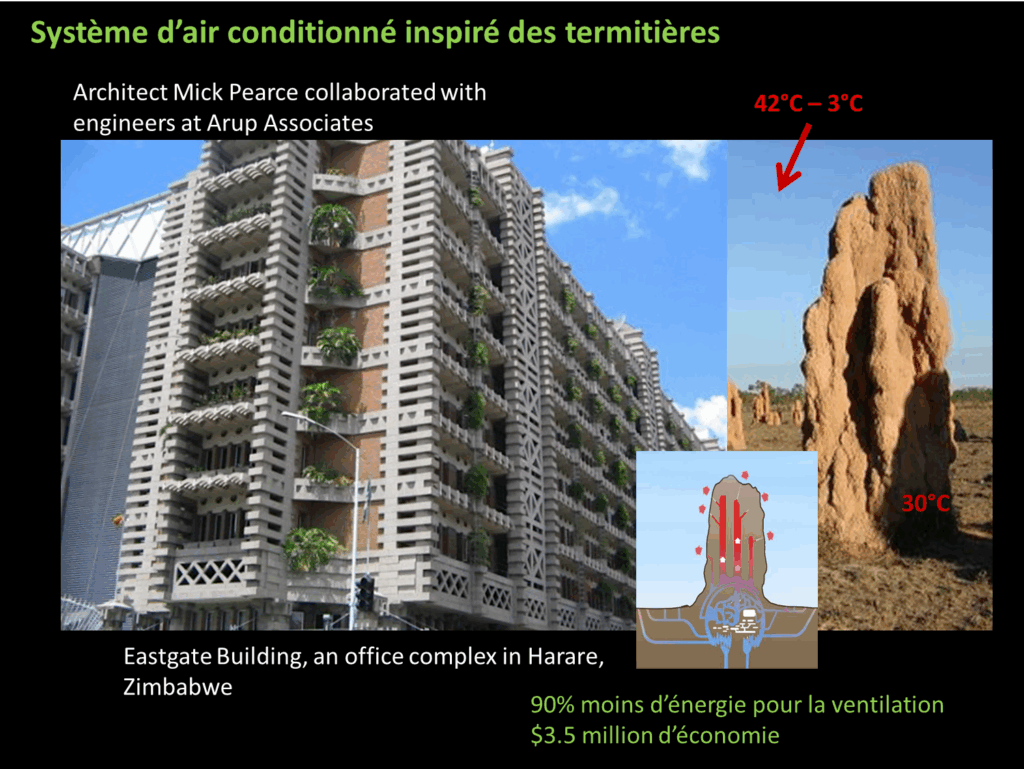 immeuble climatisé