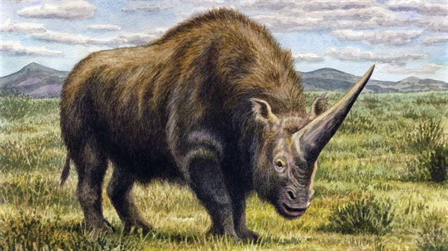 une représentation de l'animal