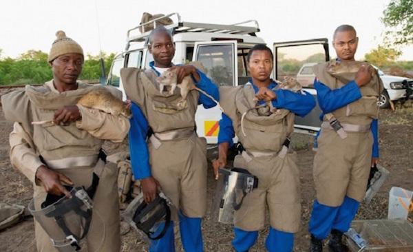 Equipe de déminage