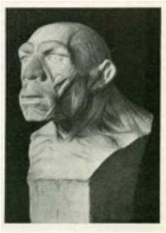 Reconstitution de la tête et du cou de l'Homo neanderthalensis de la Chapelle-aux-Saints