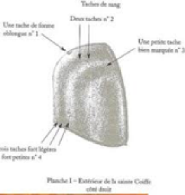 Aspect général de la Sainte Coiffe de Cahors