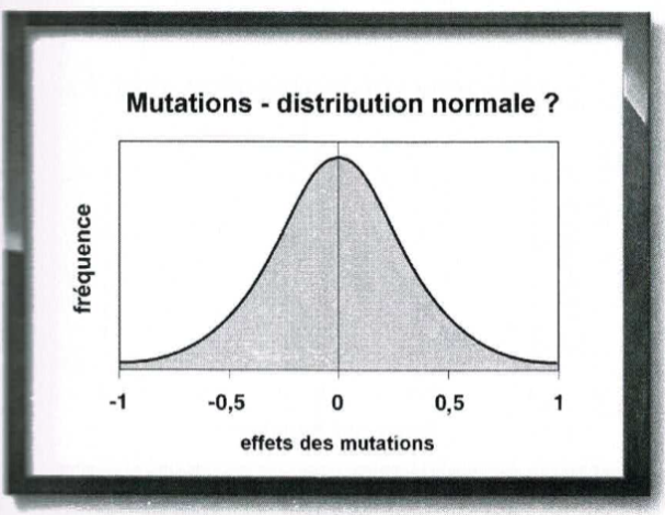 Fréquence des mutations selon leur effet supposé.