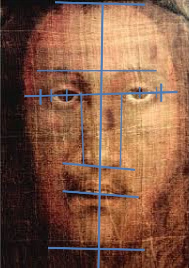 Différentes lignes du visages sur le voile de Manoppello