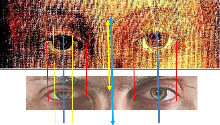 Analyse des yeux de l'homme du voile de Manoppello