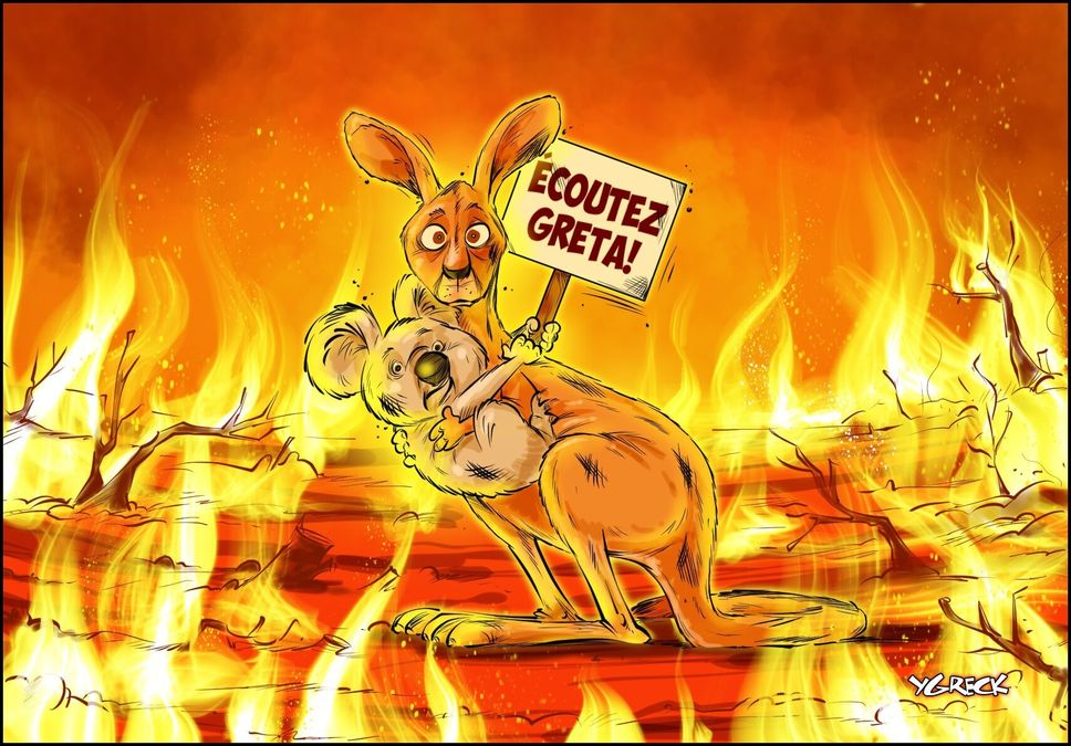 caricature koala kangourou feu Greta