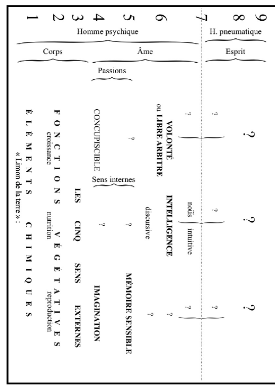 Schéma de la structure de l'homme