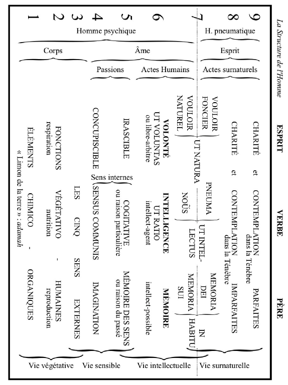 Schéma de la structure de l'homme