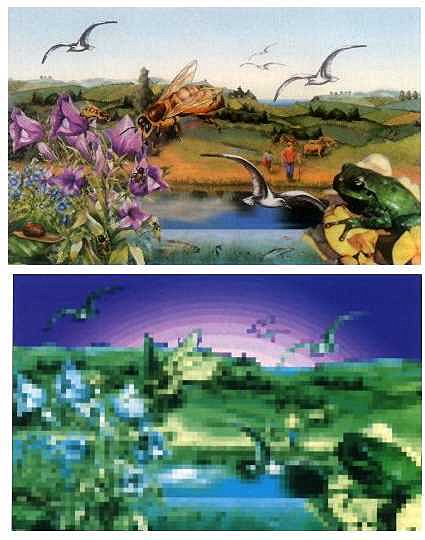 Reconstitution partielle de la vision d'une abeille