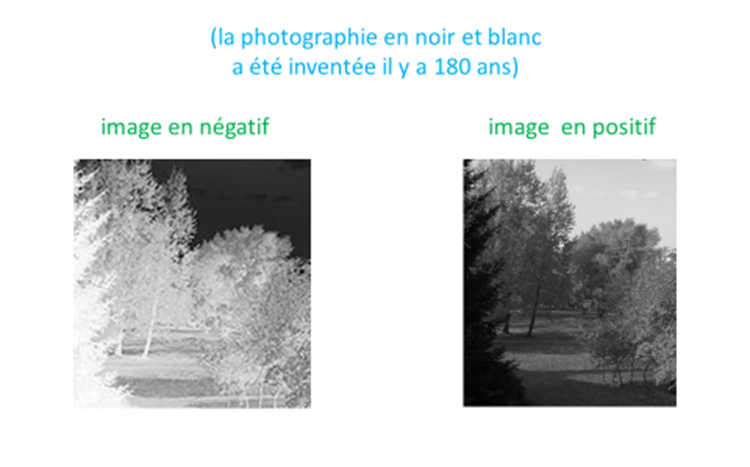 Photo : négatif et positif