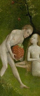 Les fraises représentent les bons fruits de l’homme vertueux