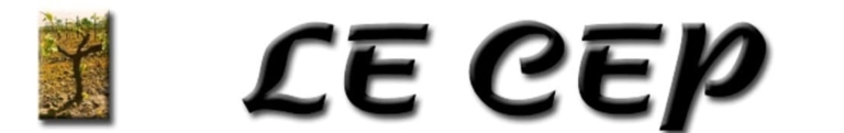 Bandeau avec logo et nom du CEP