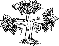 Logo du CEP dessin en noir et blanc en forme de cep de vigne avec grappes de raisin