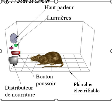 Boite de Skinner