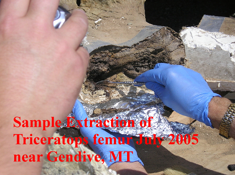 extraction de fémur